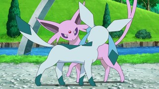 Pocket Monster story 49