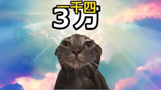 【熟/猫meme】在黑心公司上班精神崩溃了