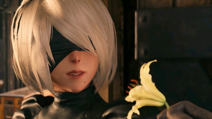 2B trông đẹp quá