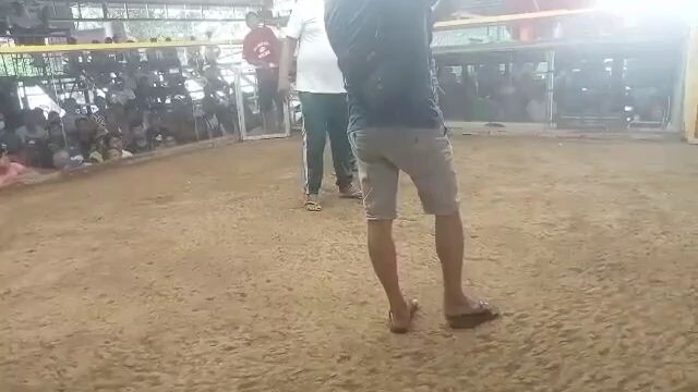 Pang champion ng pute kame lang pumatay