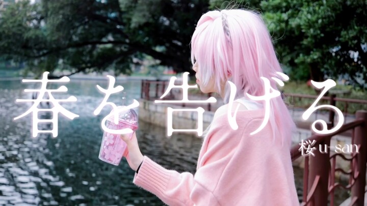 【Unnämed/Cos】🌸春を告げる/宣告春天🌸【Sakura Usan!!】