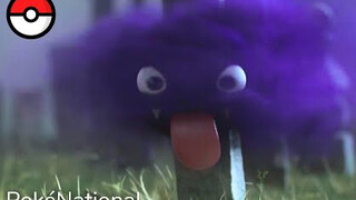 [Chinese subtitles] Pokémon National Geographic: Gastly