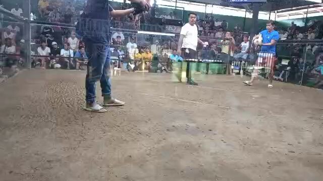 2hits champ laban ng palahi