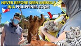 SHOCKING Newest "WORLD CLASS" 15 Hectare SAFARI in the Philippines! 🇵🇭🙌 (Clark Safari)