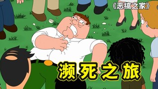 恶搞之家濒死之旅，皮特作弊赢下旅游大奖，带领群畜聚集惹是非