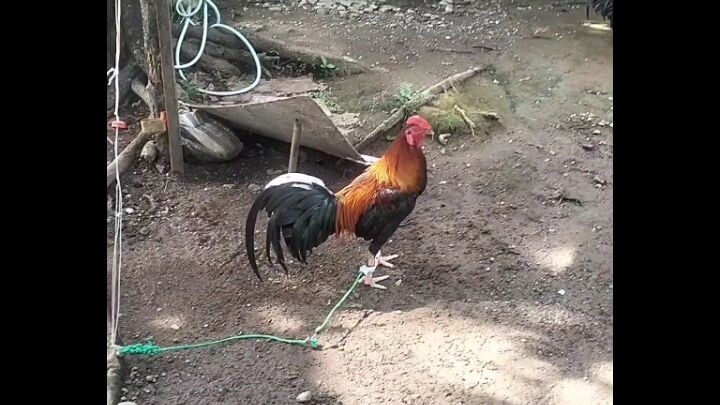 Nakadali pa he kaber 1win na 🐓