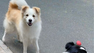 Today I successfully lured my bestie into escaping again.