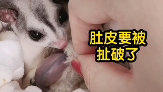 Is that okay? I stuffed the newborn cub back in again...