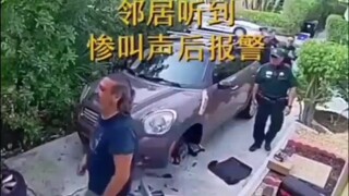 警察：我想给它一梭子