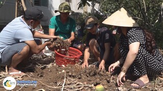 LẦN ĐẦU ĐÀO CỦ NÀY ĐEM NẤU MÓN | Hội Ngộ Miền Tây - Tập 613