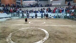 3X WINNER DAMING BAON DERBY @SJC BATANG MANDALUYONG