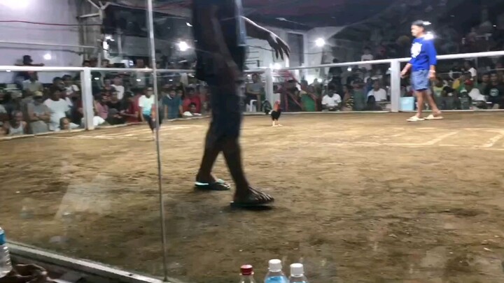 Natalo na yung palahi ko 😢