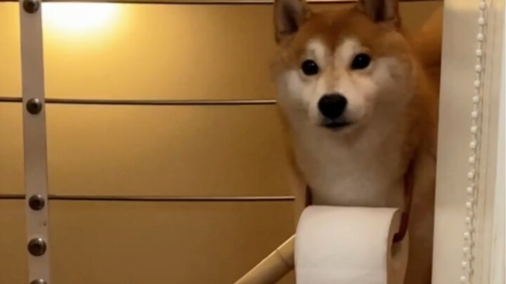 The group’s poop‑assisting bot is now online!