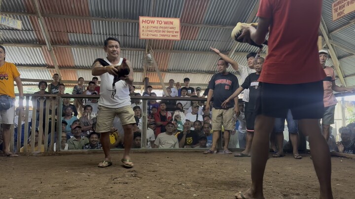 Melsims hatch over SBR