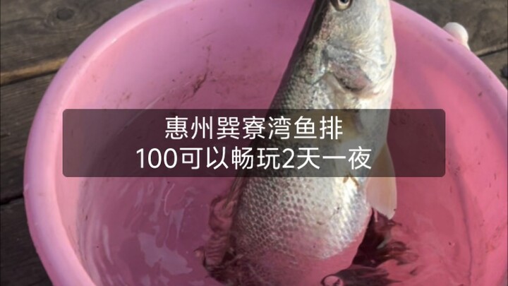 In Xunliaowan, Huizhou, you can enjoy a 2-day, 1-night sea excursion for just 100 yuan.