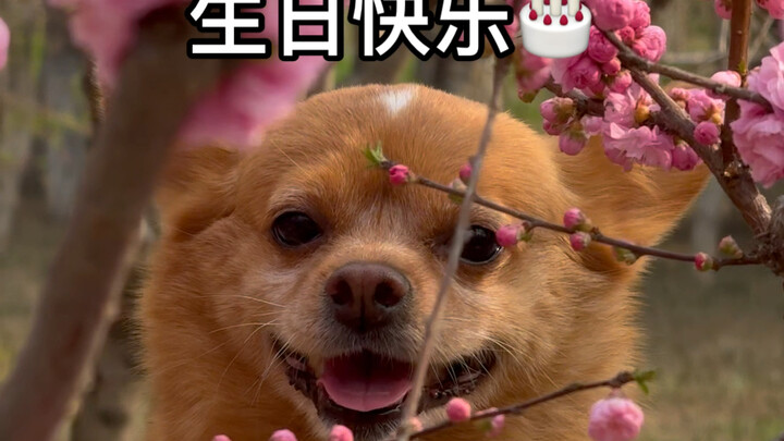 Hani’s 9 years old—I’ve so much to say.