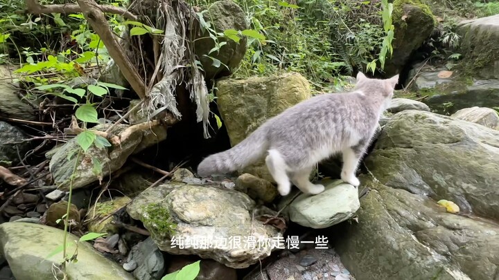Taking the babies to soak in a wild hot spring.