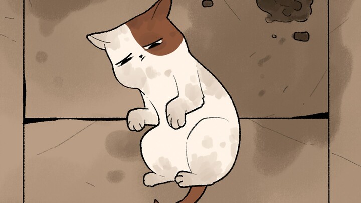 When I walked into the pet blind box store, I thought a new chapter in my life was about to begin.