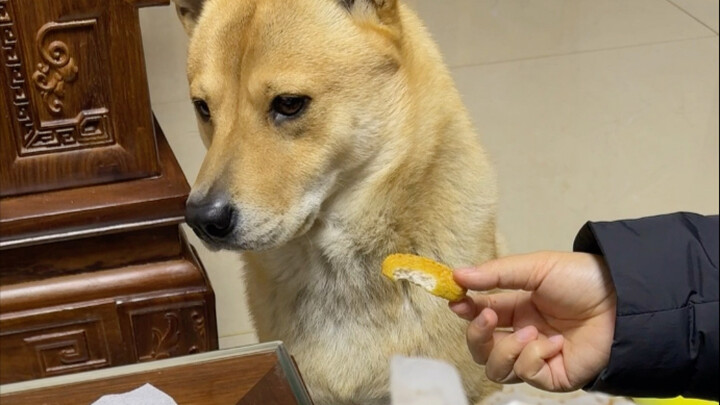 Late-night snack—eat it or not?