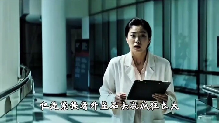 หินที่โตได้