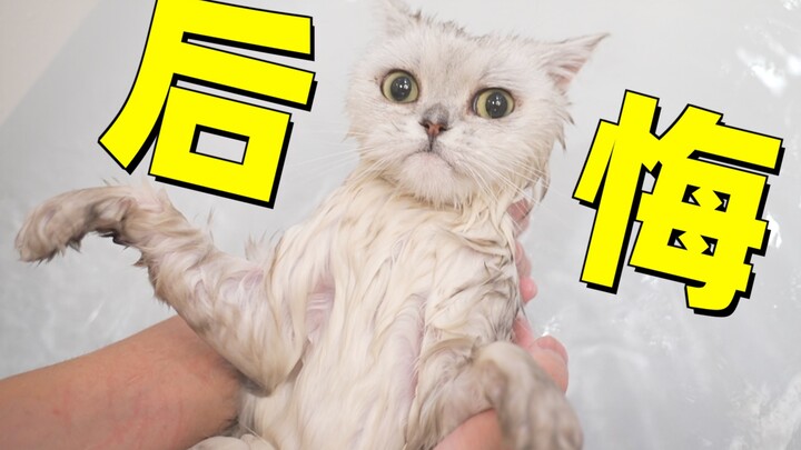 The cat was tricked into taking a bath, and the silly cat was watching nearby. It only realized some