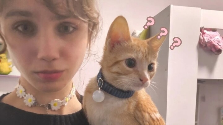 《Đại hội hành vi kỳ lạ của động vật 472》