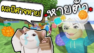 แกล้งใช้ผลล่องหน ขโมยผลปีศาจ😥😆(ร้องไห้)Minecraft ตอนที่2