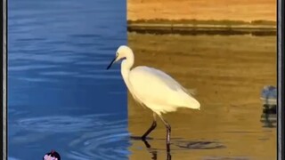 องค์ประกอบภาพนี้มหัศจรรย์มาก! ดูอยู่ตั้งนานถึงจะเข้าใจว่าภาพนี้ถ่ายขึ้นมาได้อย่างไร