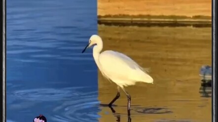 تكوين مذهل جدًا! بحثتُ طويلًا حتى فهمتُ كيف تم التقاط هذه الصورة.