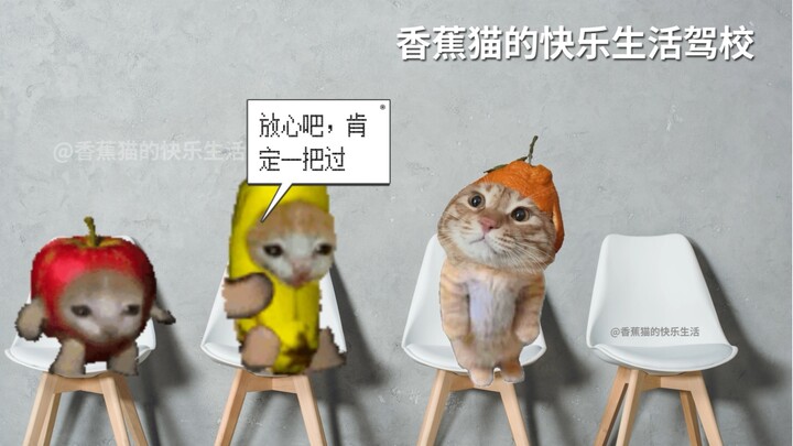 Môn 3 của Mèo Chuối