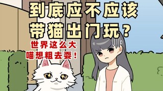 你会带你家小猫出去玩吗？