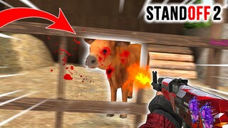I KILLED THE VILLAGE COW! Standoff 2 OzuXxChallenge #4