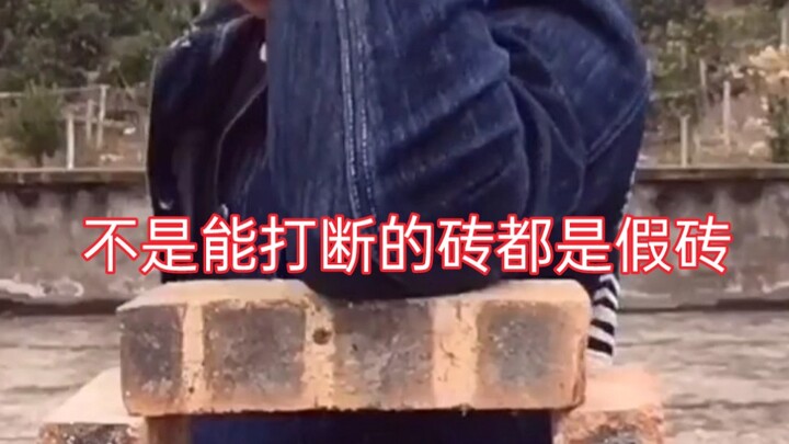 Không phải gạch nào cũng là gạch giả chỉ vì nó có thể bị đập vỡ.
