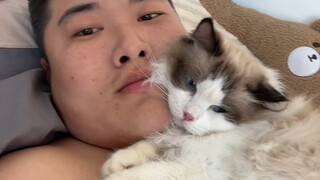 My friend's cat came to my house to play, and it was posted just the same!!