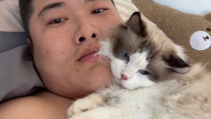 朋友家的猫来我家玩玩，一样贴！！
