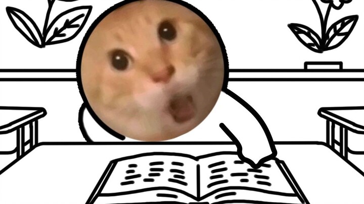 Trường Tiểu học Kì Mễ: Mão Mão lại giành vị trí thứ nhất trong kỳ thi?!