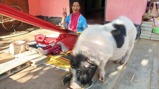 เช้านี้น้องรวยกวนคุณยาย555 วันนี้จะทอผ้าเสร็จไหมเนี่ย😅🤣😂 (น้องรวยตัวป่วน)