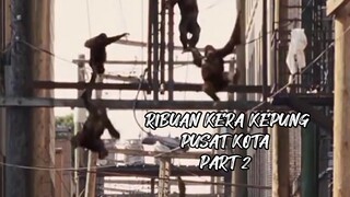 RIBUAN KERA KEPUNG PUSAT KOTA PART 2