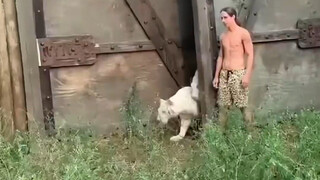 Sejak pria asing itu mewarisi kebun binatang milik kakeknya, gaya taman hewan di sana langsung berub