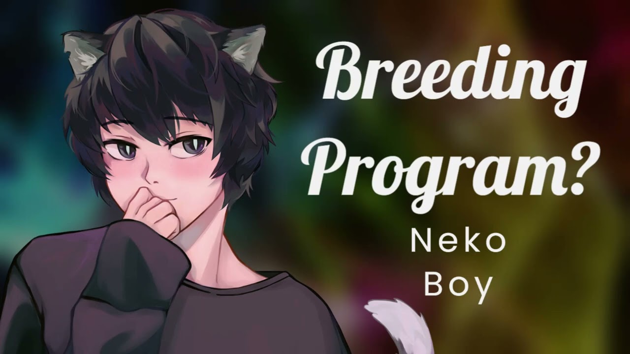 ಡωಡ„) Breeding the Sub Neko Boy [ASMR Roleplay][Hot][Nyan][Whimpering] -  Bilibili