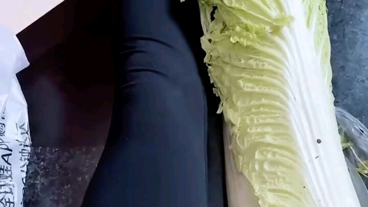 Taiyuan’s Napa cabbage may not have many leaves, but it’s seriously long—netizens say a single leaf 