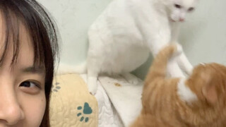 Seems impressive, but actually keeps getting beaten up