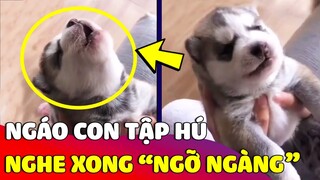 Khoảnh khắc 'NGÁO BABY' được Sen dạy cho cách 'HÚ TIẾNG SÓI' làm ai cũng trầm trồ 😅 | Gâu Đần