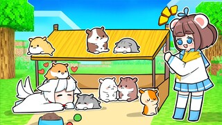 Mèo Simmy Và Bé Mưa Xây Nhà Cho 10 Bé Chuột Hamster Bị Bỏ Rơi Trong Minecraft