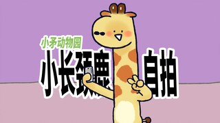 【小矛动物园】小长颈鹿爱自拍。