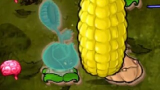 这就是万分之四的概率吗？