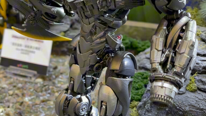 WF2023上海 变形金刚汇总