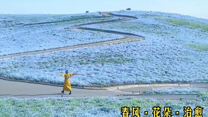 ทั้งแสงแดดและดอกไม้ก็มี ความสุขและความเบิกบานก็จะตามมาเช่นกัน! ฤดูกาลแบบนี้เหมาะกับการขยันทำฝันให้เป