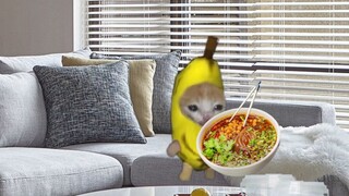The reason why Banana Cat can't lose weight