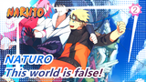 NATURO|This world is false!_2